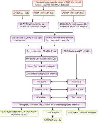 Identification and Validation of Three Autophagy-Related Long Noncoding RNAs as Prognostic Signature in Cholangiocarcinoma